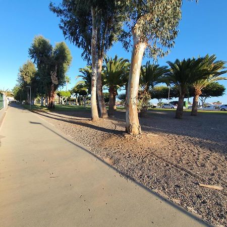 Pool & Wifi Free Shared Flat Private Room By Ocean Park Maspalomas (Gran Canaria) Exterior foto