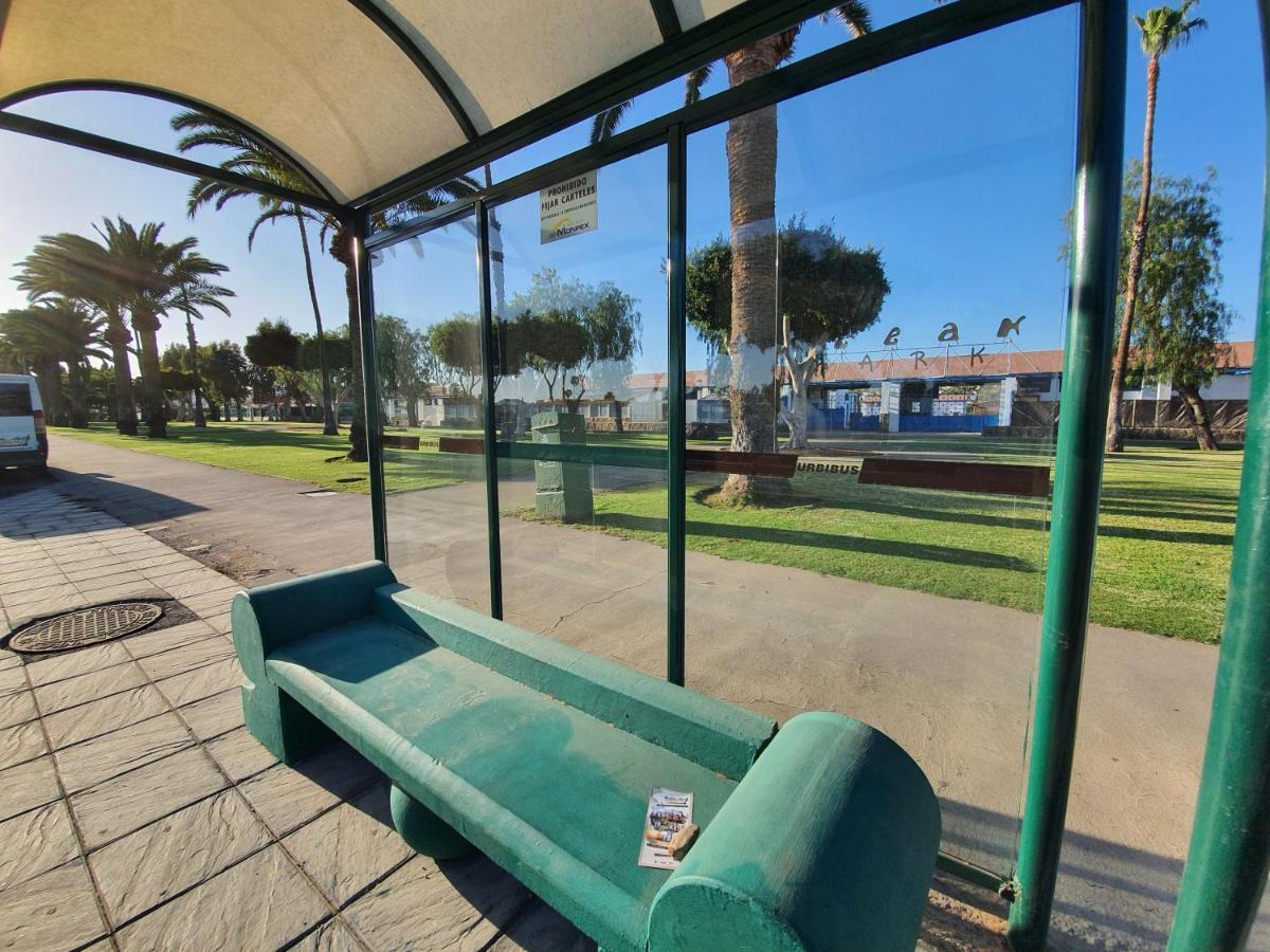 Pool & Wifi Free Shared Flat Private Room By Ocean Park Maspalomas (Gran Canaria) Exterior foto